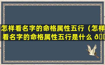 怎样看名字的命格属性五行（怎样看名字的命格属性五行是什么 🐼 ）